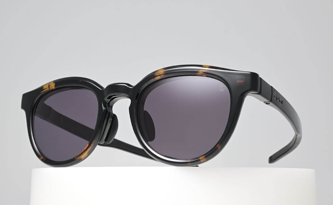 LEIFER III -FP_ DM-DG